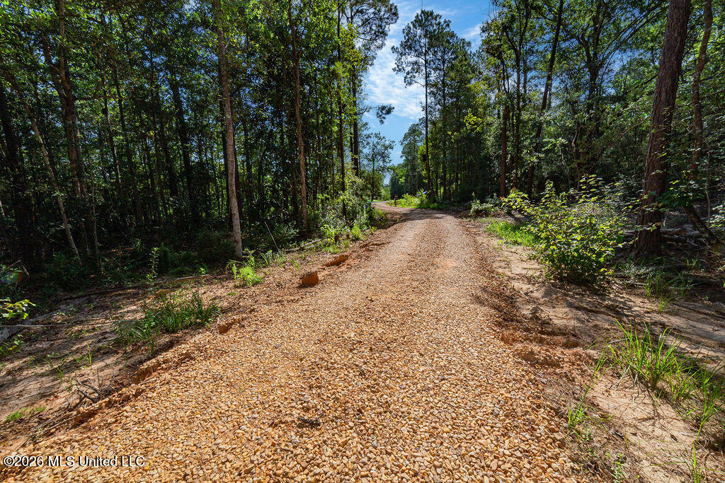 27265 Mississippi 603 Property Photo 37