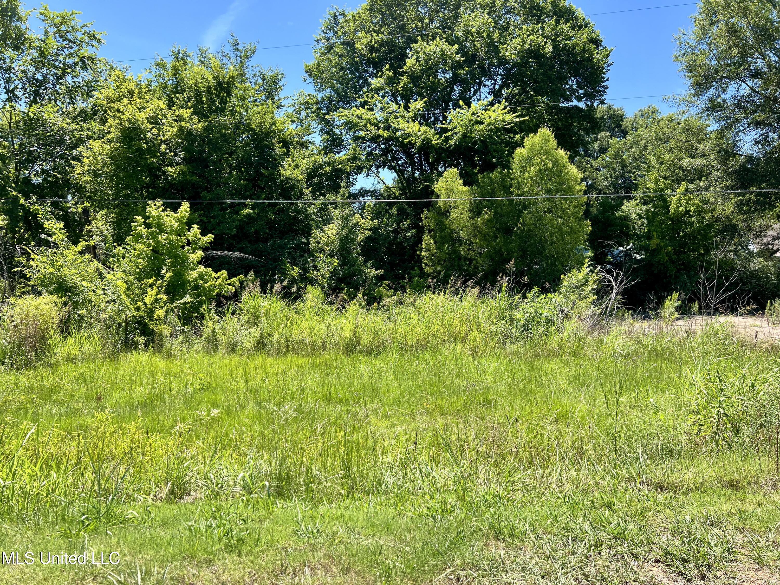 Hyline Drive Property Photo 6