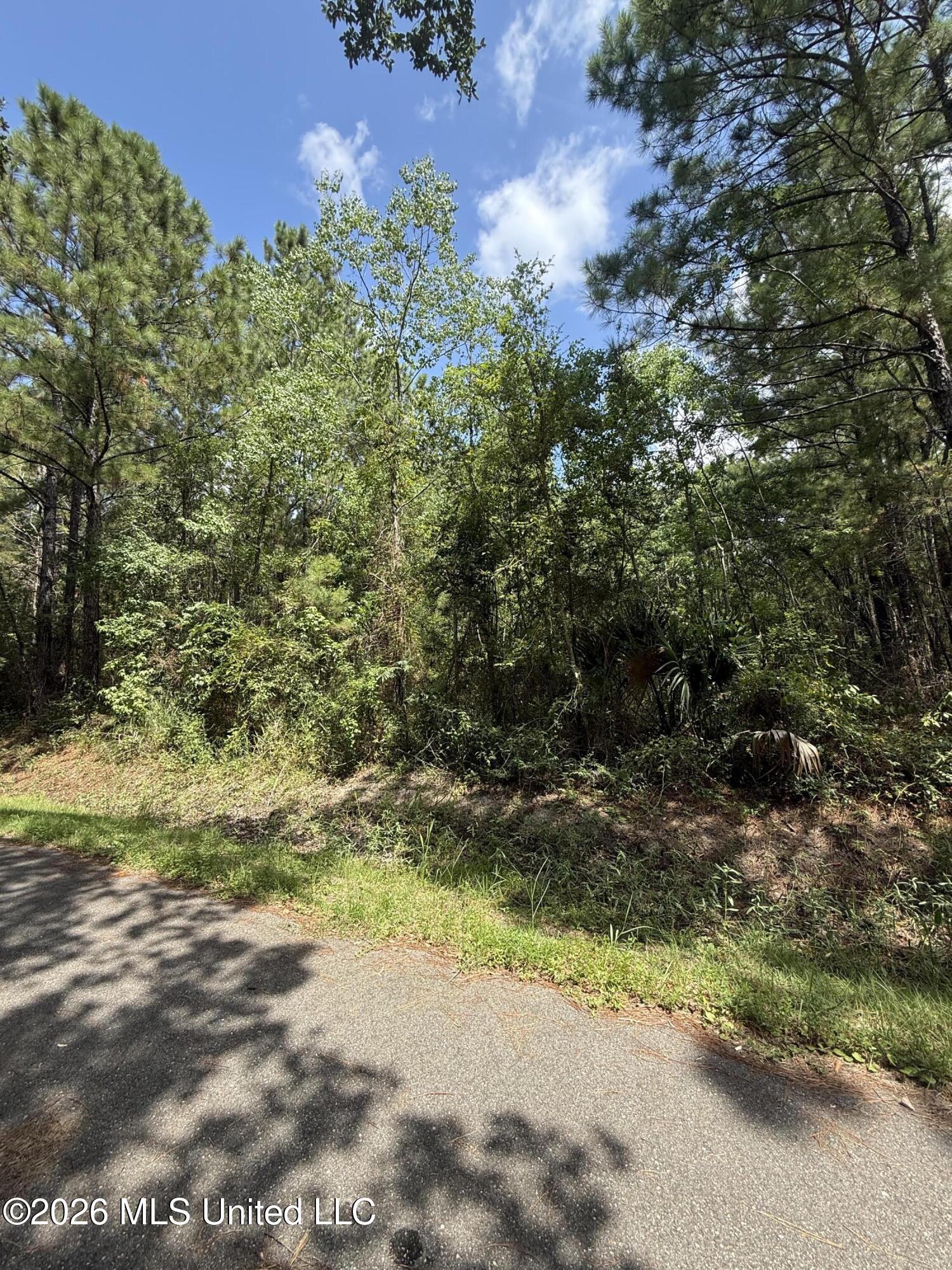 0 5th Avenue Property Photo 1