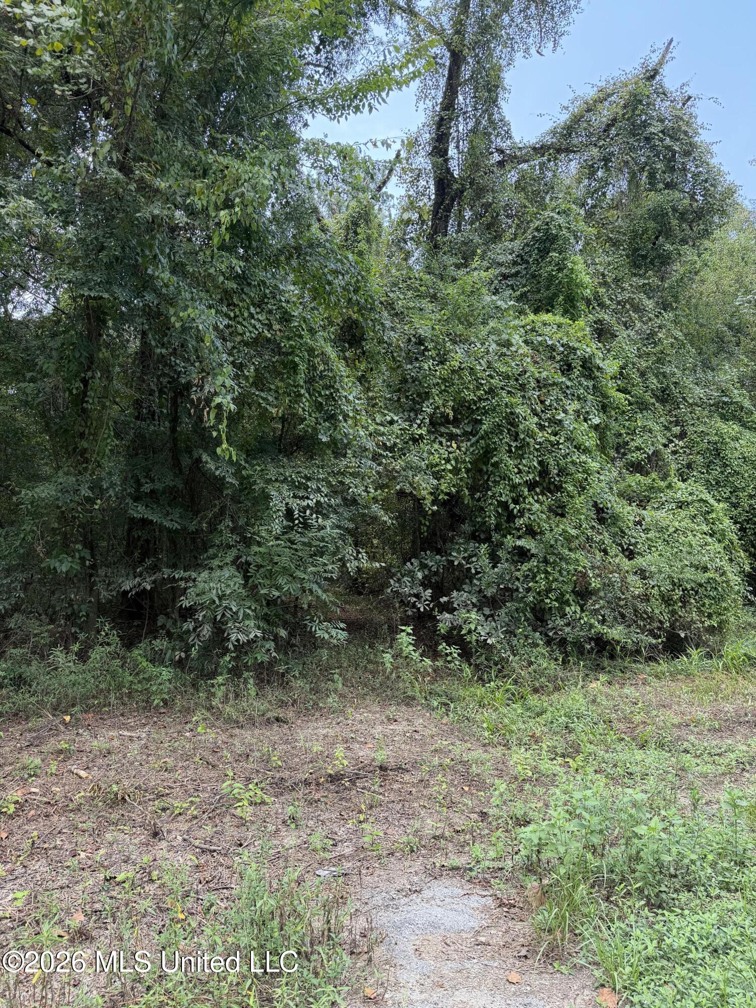 Lot 4 Pascagoula River Drive Property Photo 1