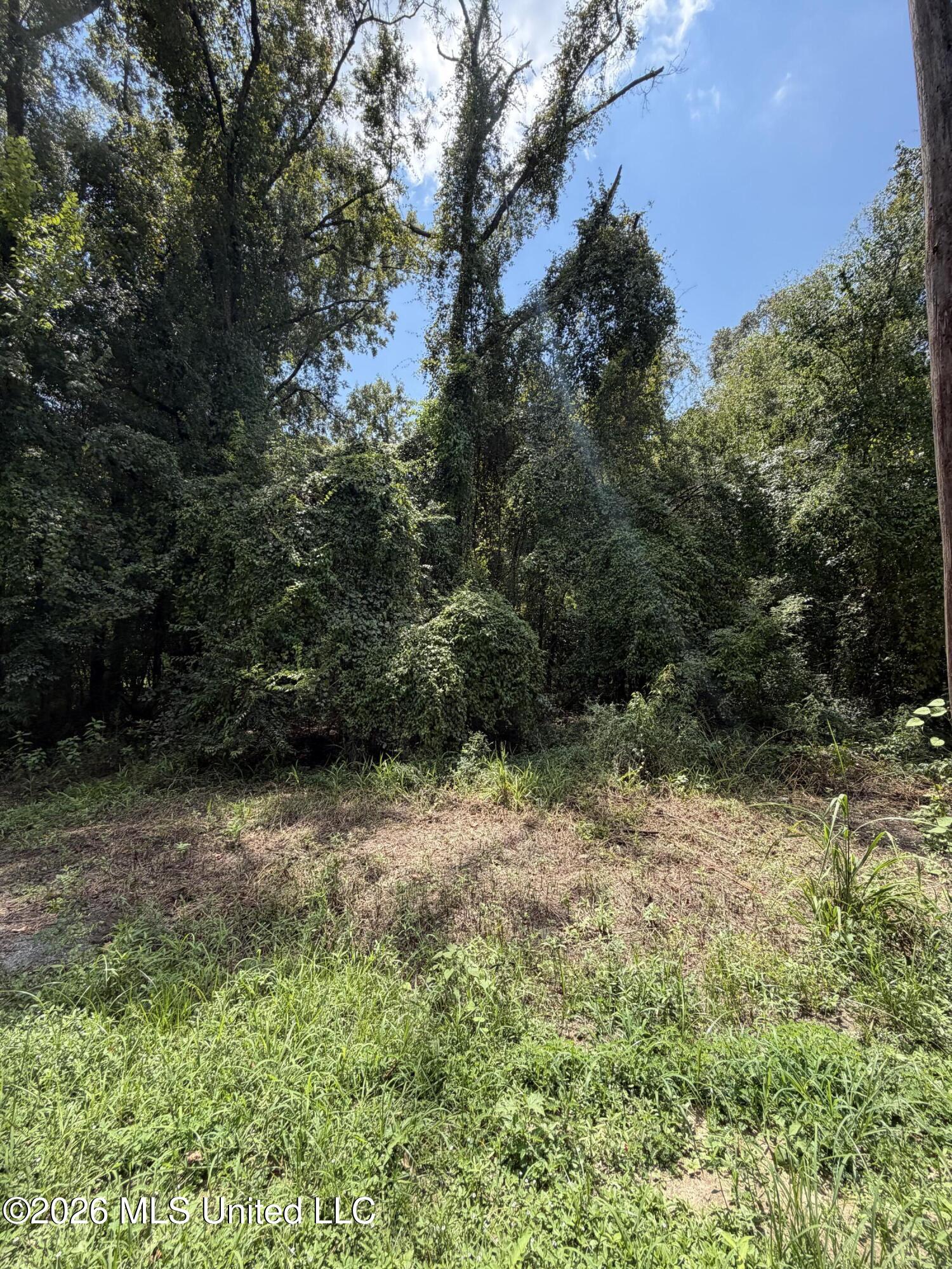 Lot 4 Pascagoula River Drive Property Photo 2