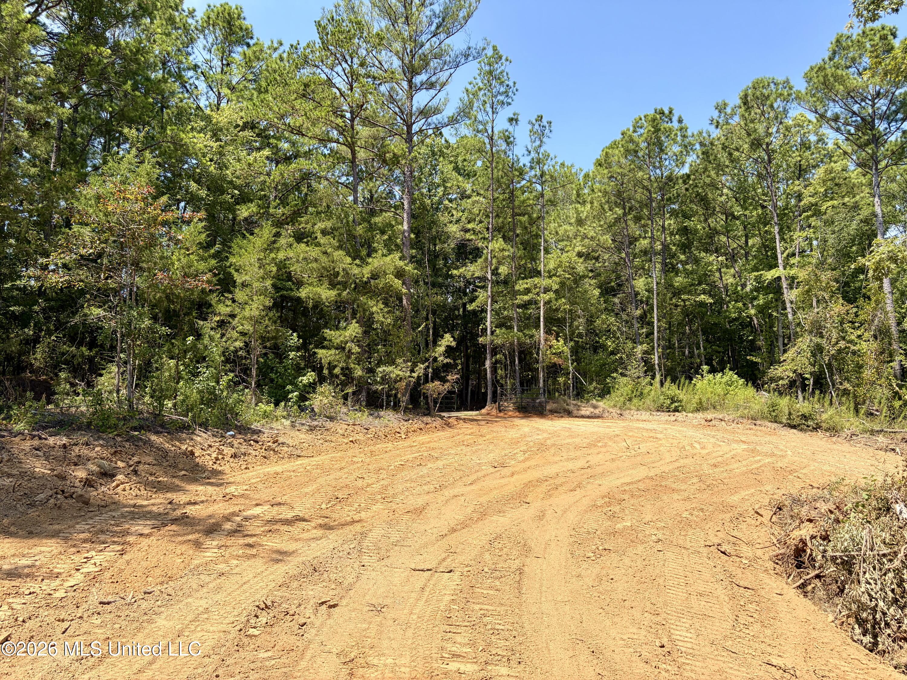Terry Road Property Photo 16