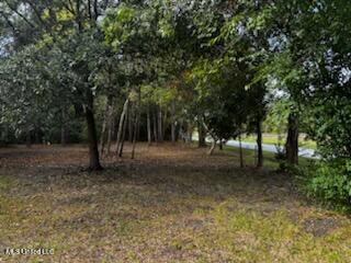 214 S Central Avenue Property Photo 5