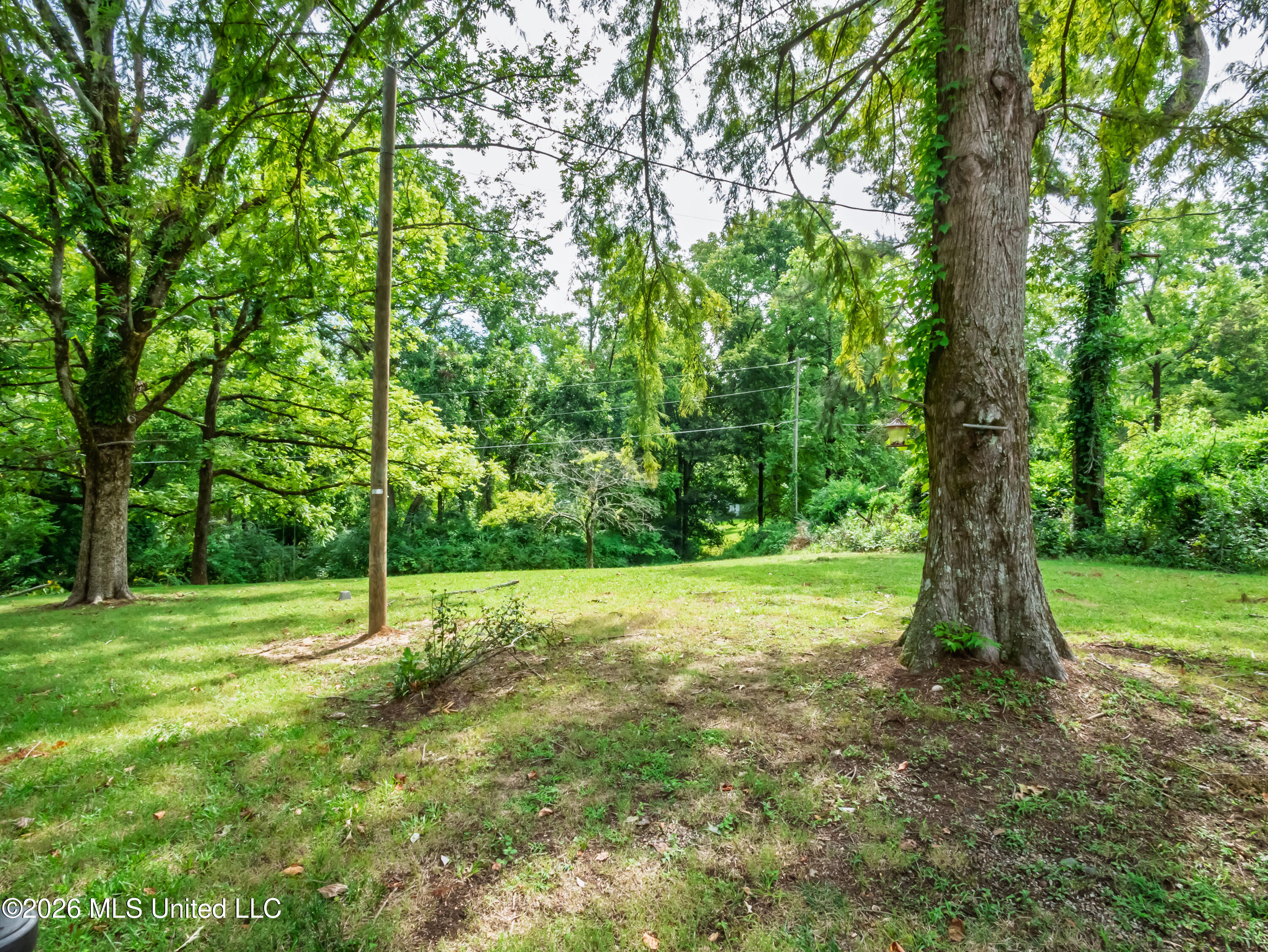 15626 Mississippi 35 Property Photo 34