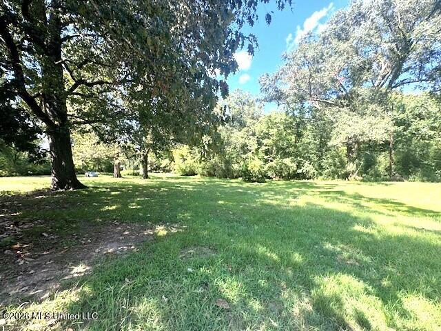7 Hall Property Photo 19
