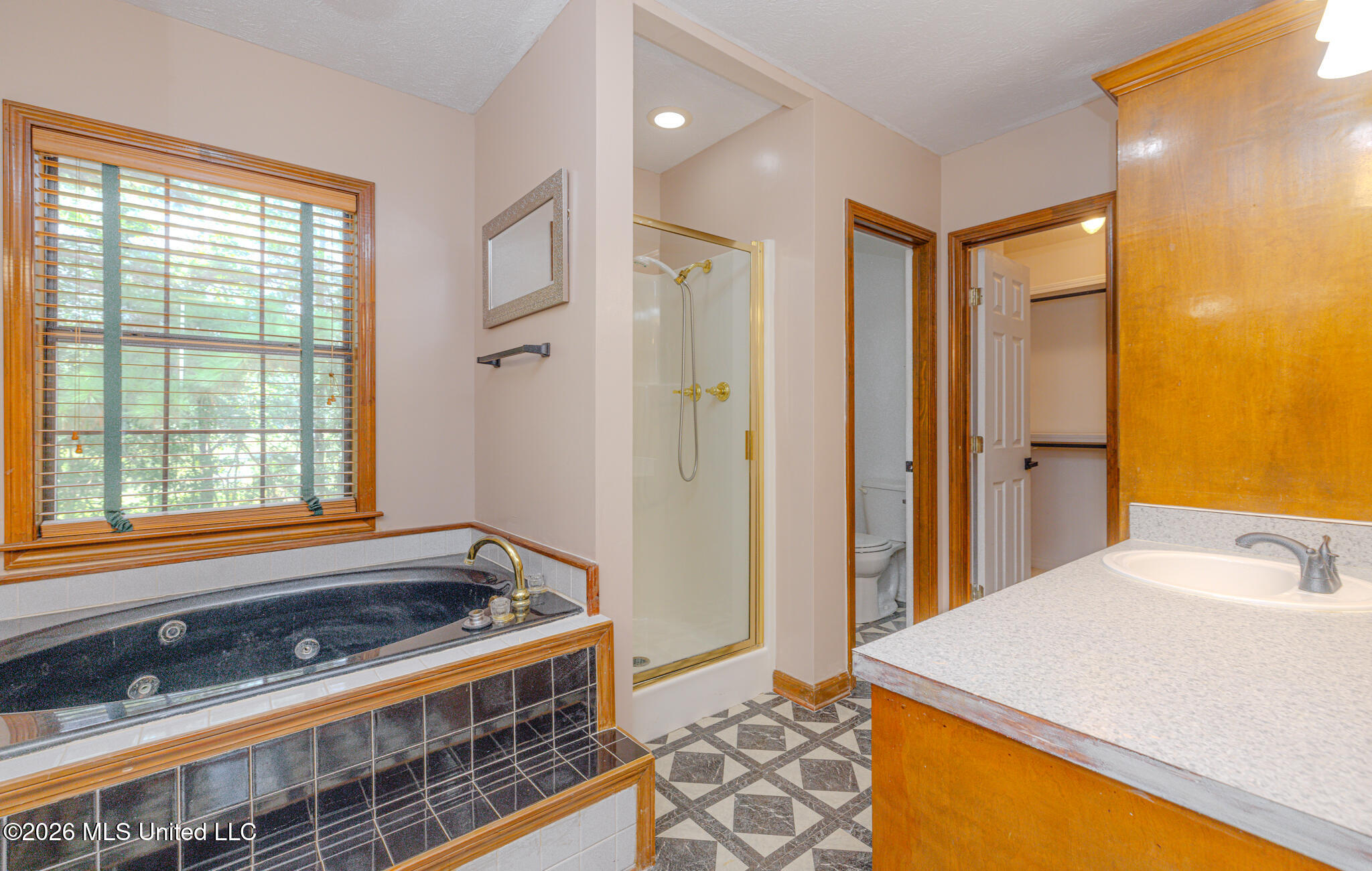 6313 Cedarwood Drive Property Photo 61