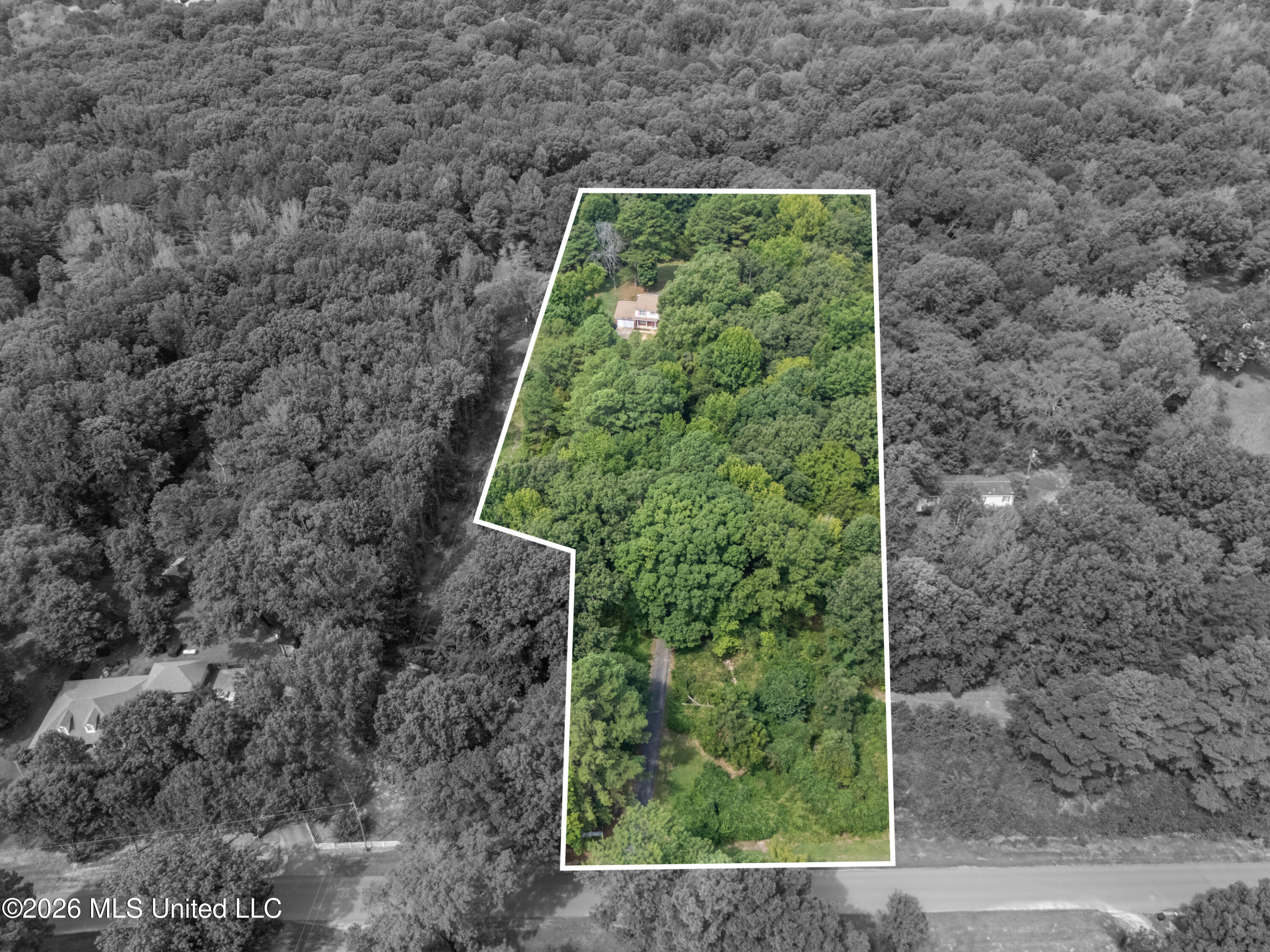 779 Strickland Road Property Photo 50