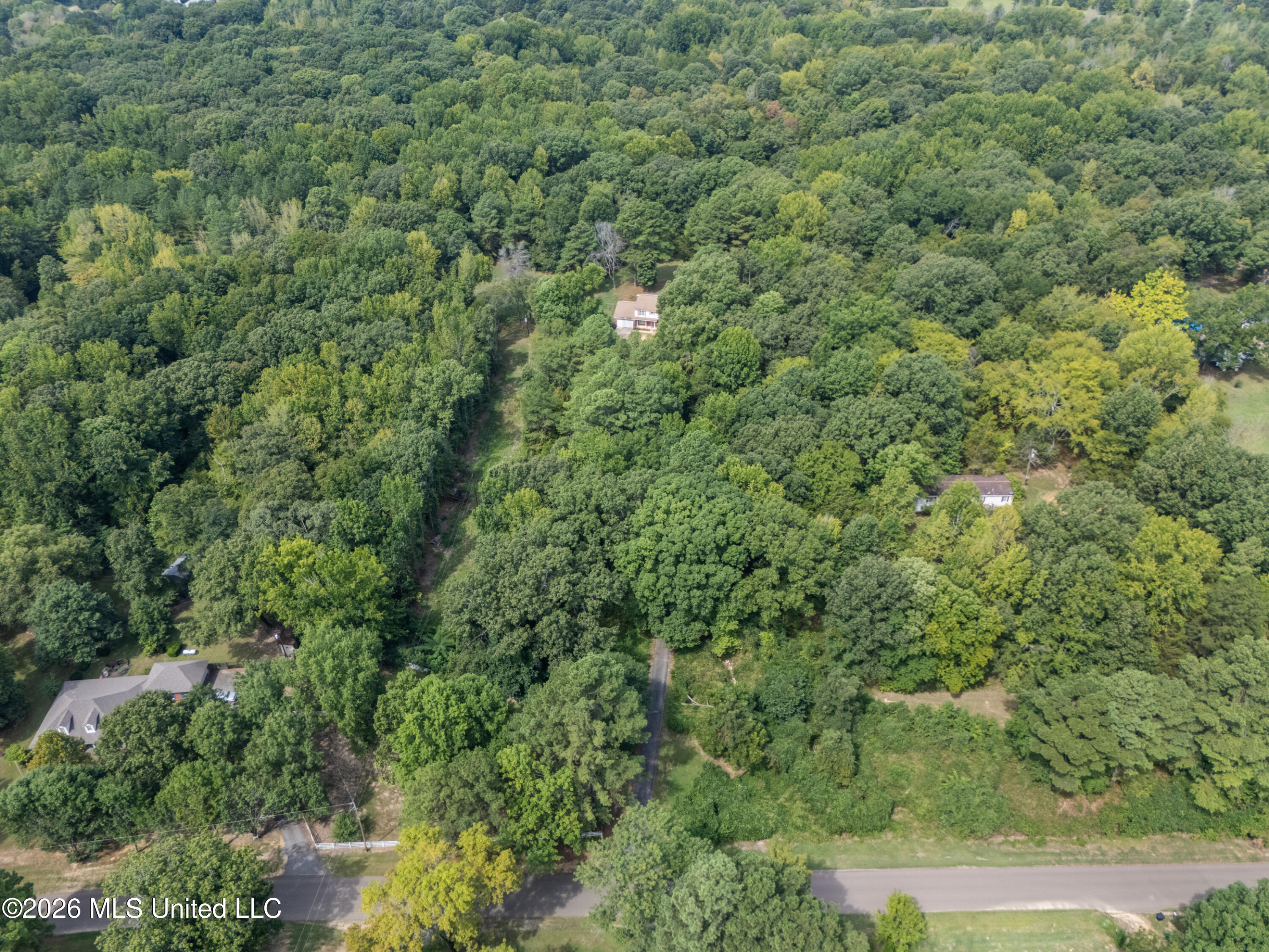 779 Strickland Road Property Photo 52