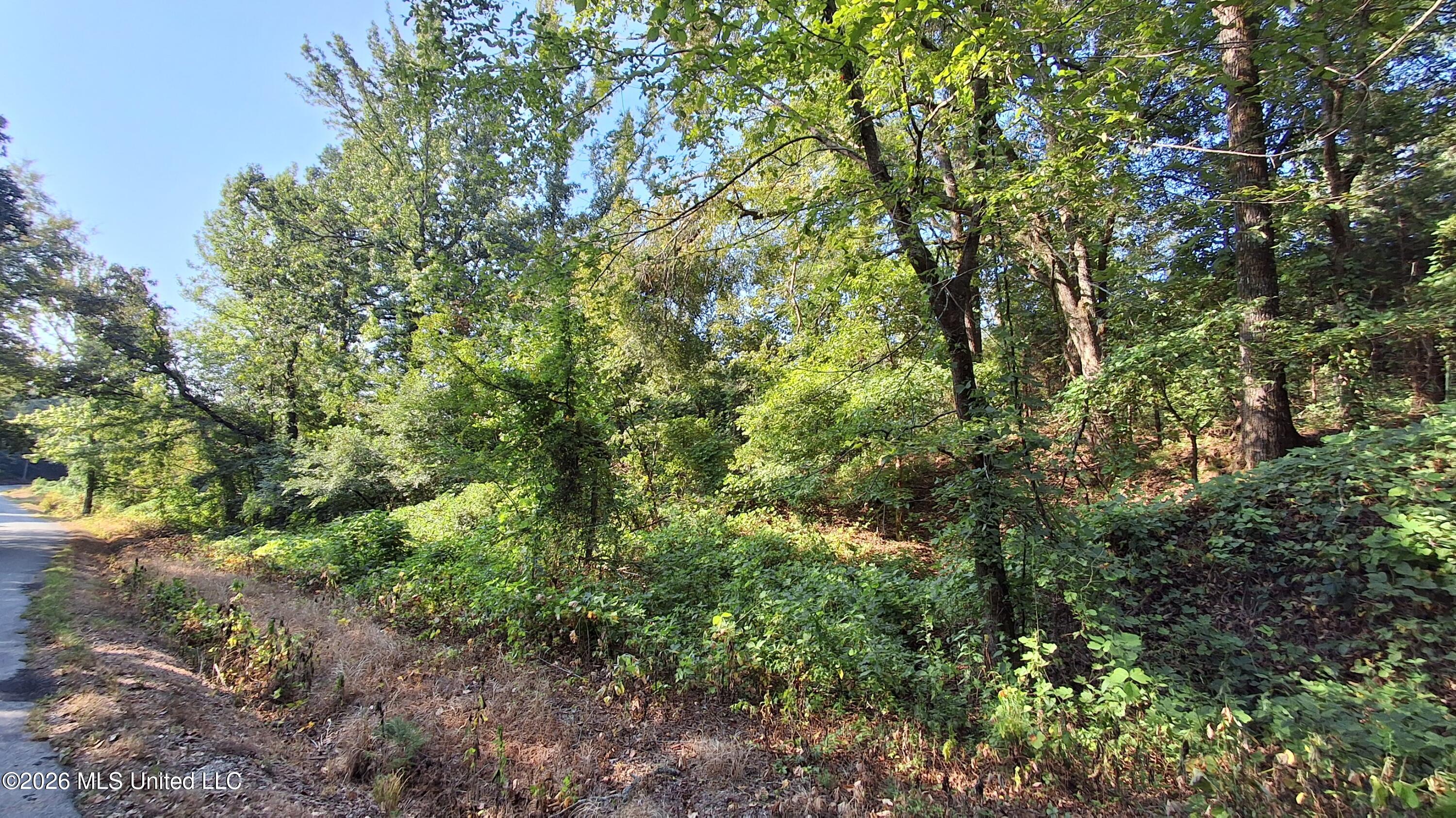 Musgray Road Property Photo 13