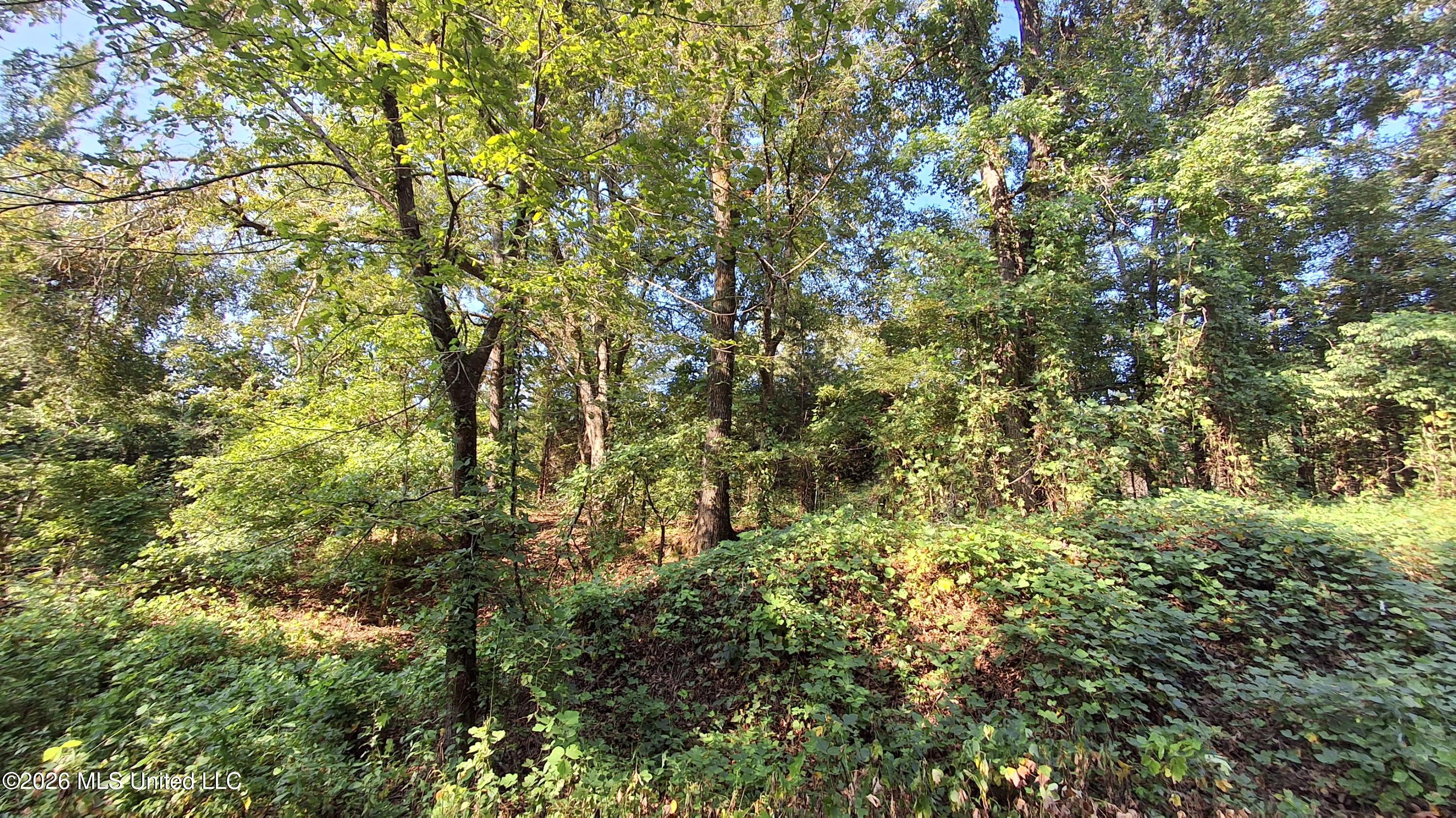 Musgray Road Property Photo 14