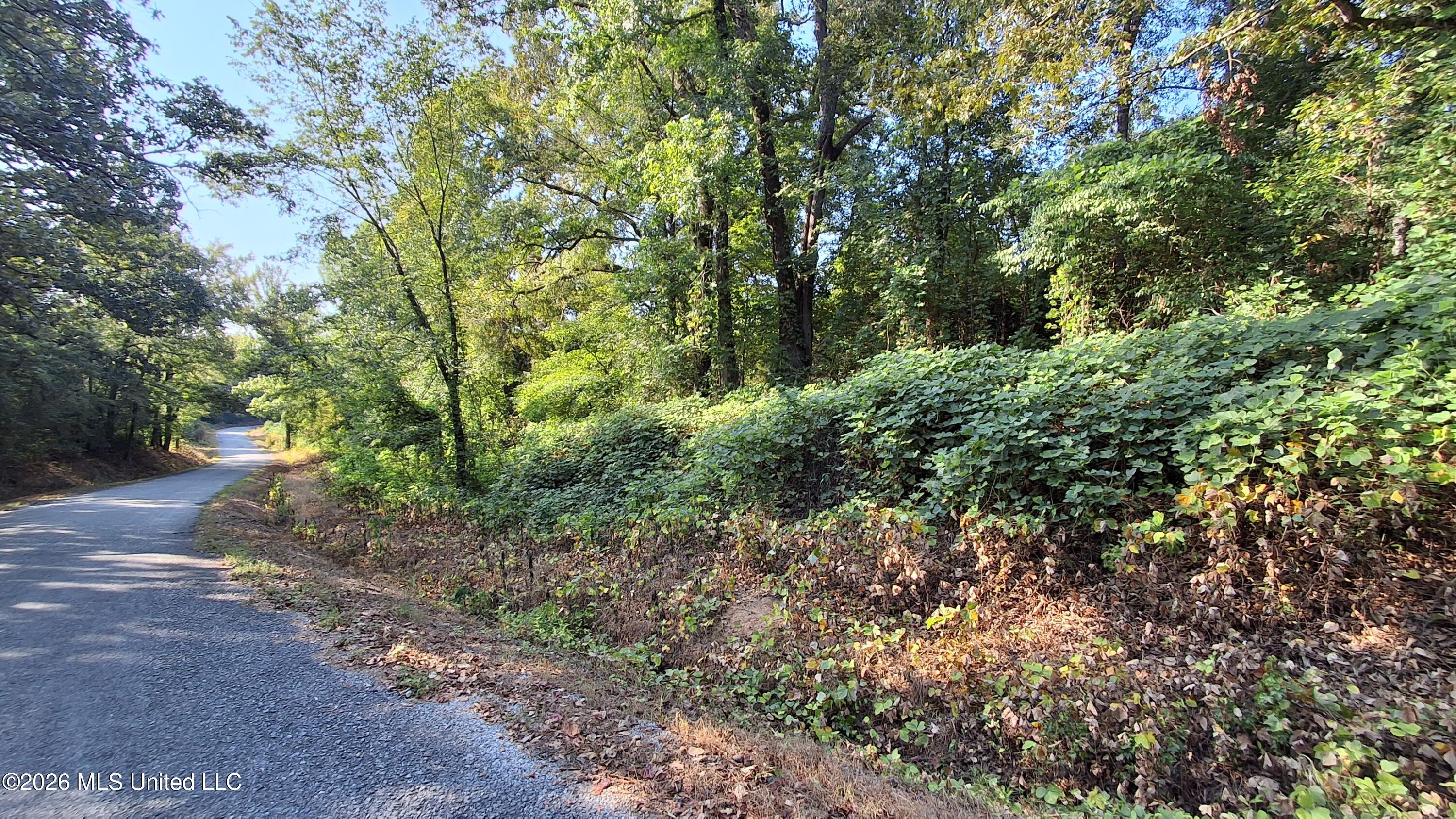 Musgray Road Property Photo 15