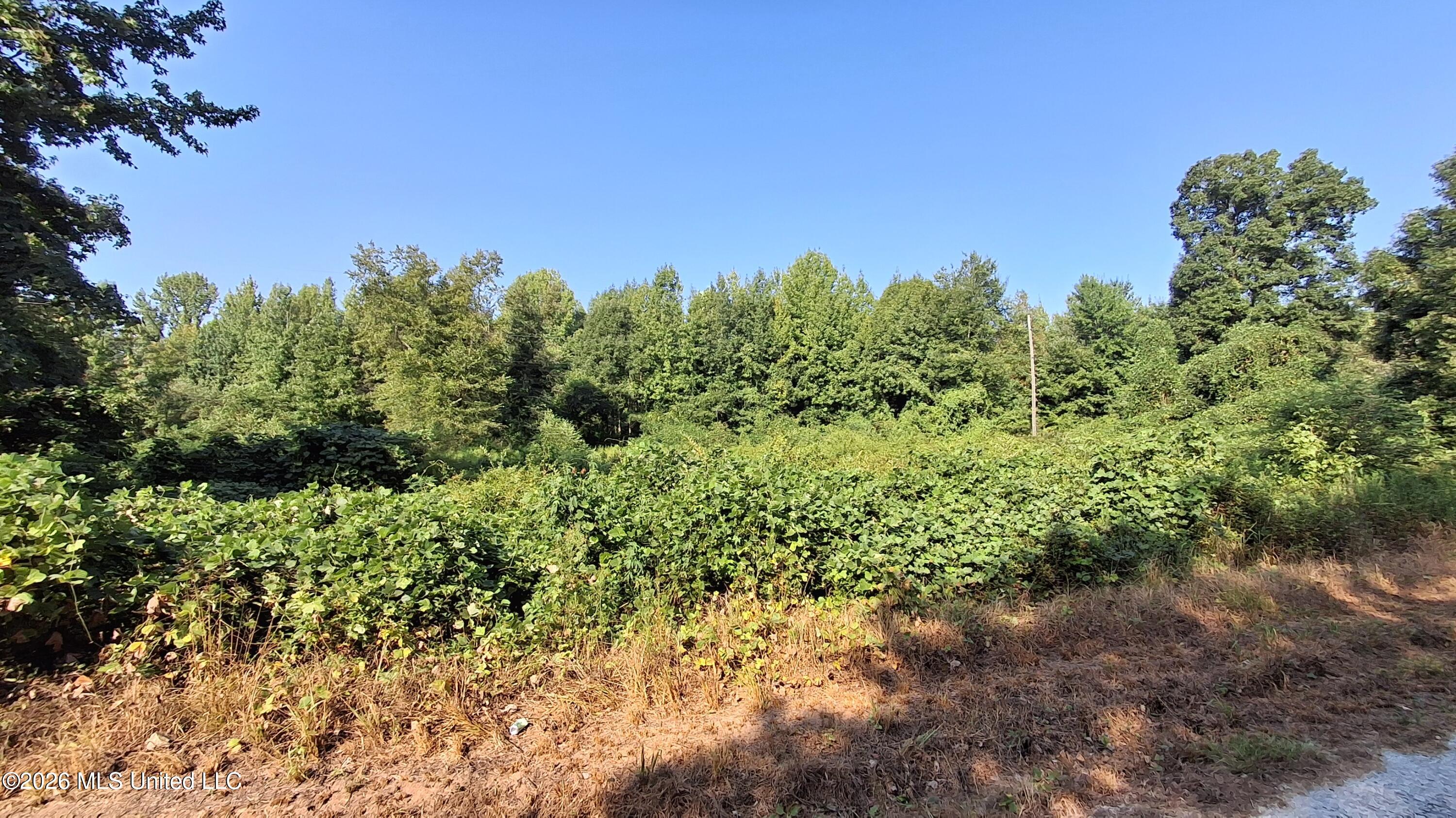 Musgray Road Property Photo 16