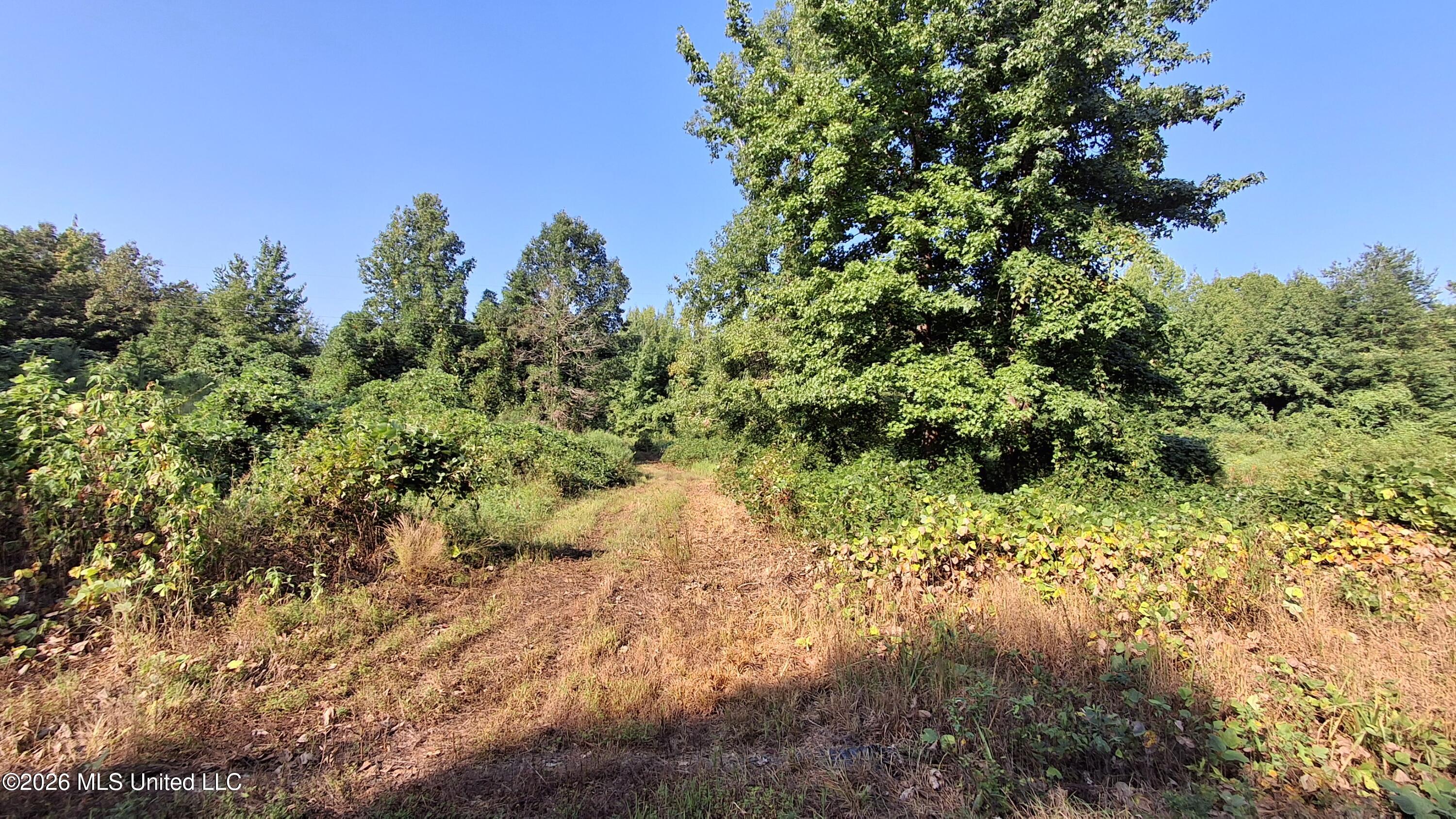 Musgray Road Property Photo 17