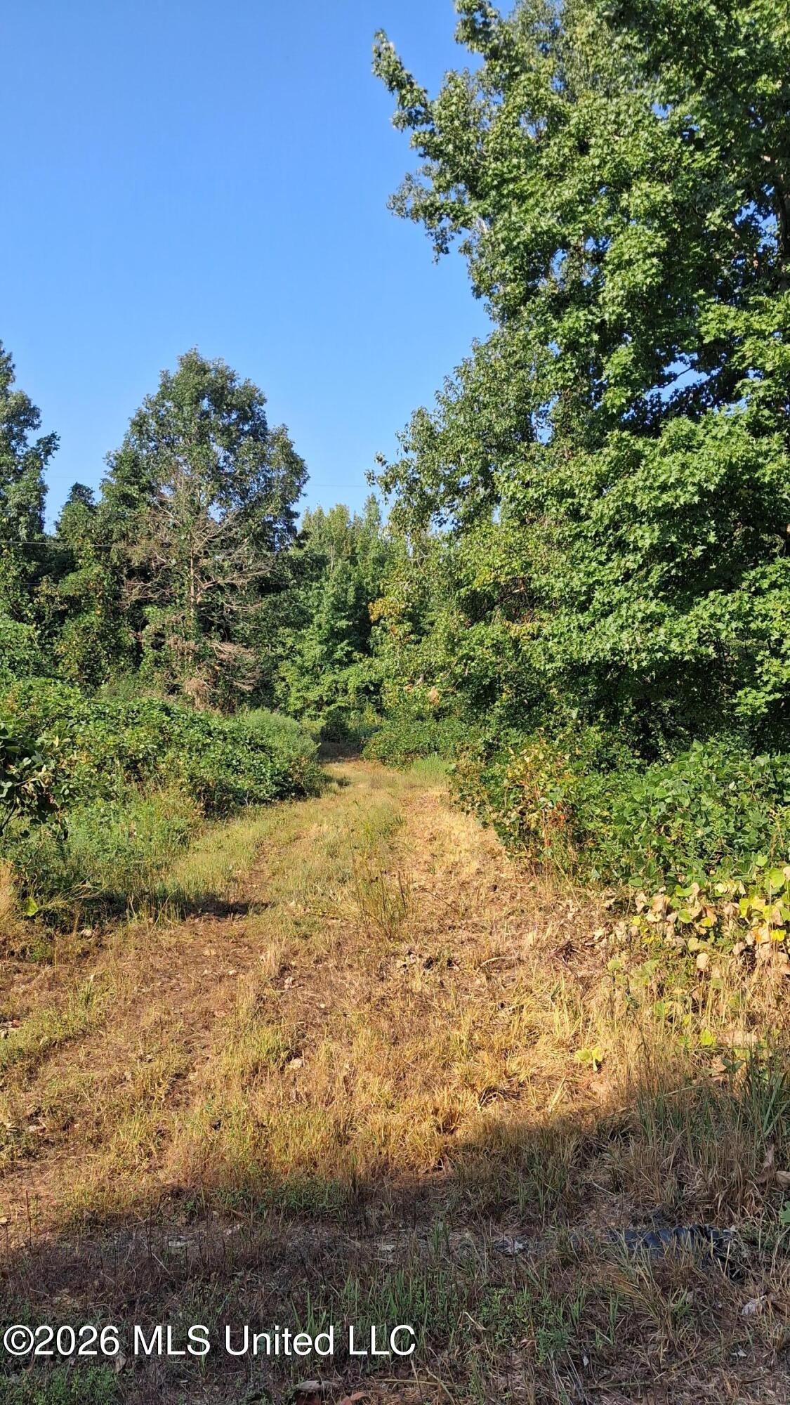 Musgray Road Property Photo 18