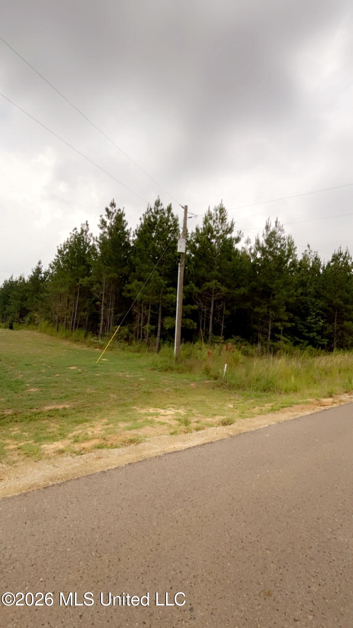 765 Freedom Ridge Lane Property Photo 3