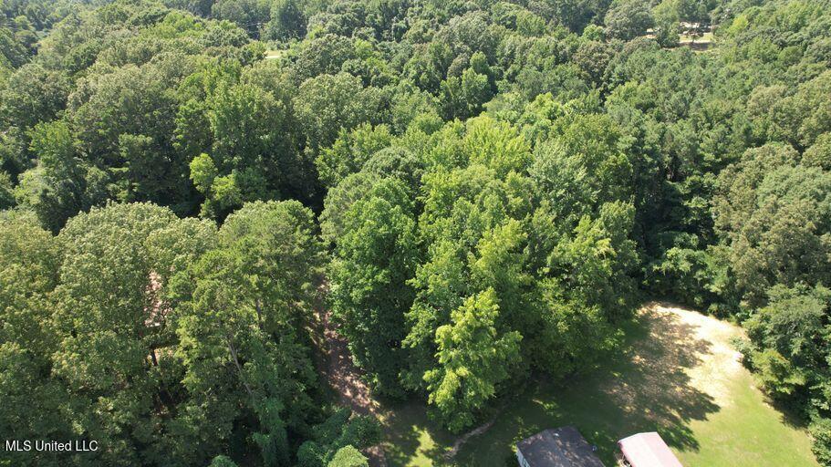 Unassigned Jack Williams Property Photo 5