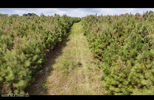 Ten Mile Creek Road Property Photo 2