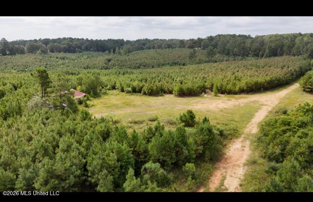 Ten Mile Creek Road Property Photo 4