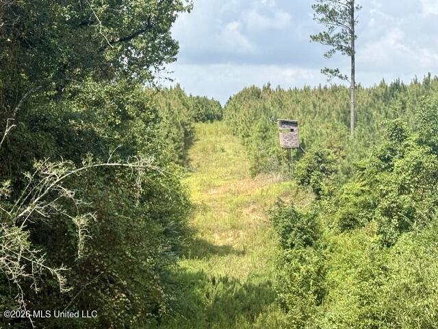 Ten Mile Creek Road Property Photo 5