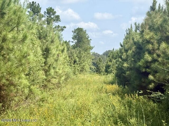 Ten Mile Creek Road Property Photo 6