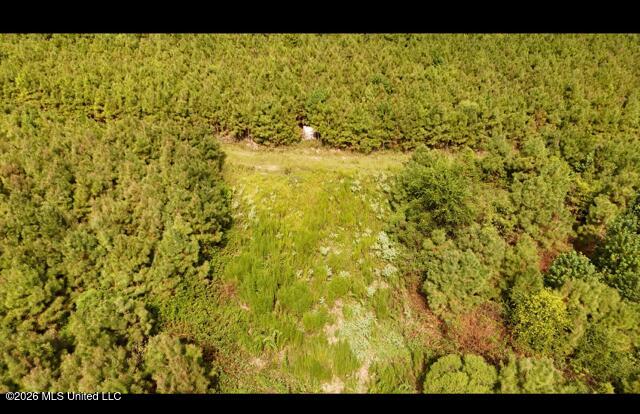 Ten Mile Creek Road Property Photo 7