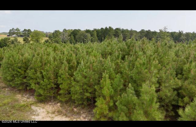 Ten Mile Creek Road Property Photo 8