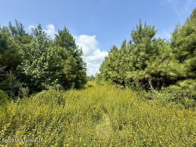 Ten Mile Creek Road Property Photo 9