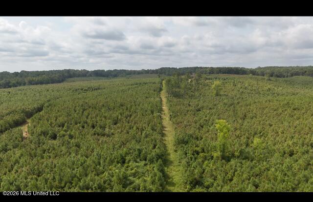 Ten Mile Creek Road Property Photo 10