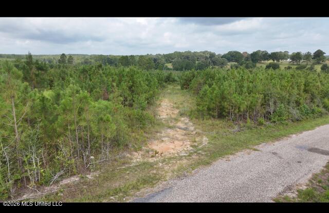 Ten Mile Creek Road Property Photo 11