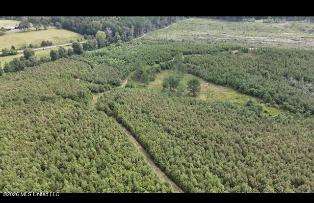 Ten Mile Creek Road Property Photo 12