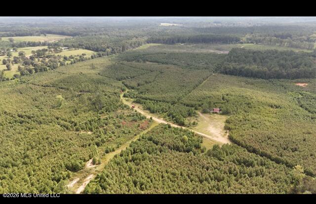 Ten Mile Creek Road Property Photo 13