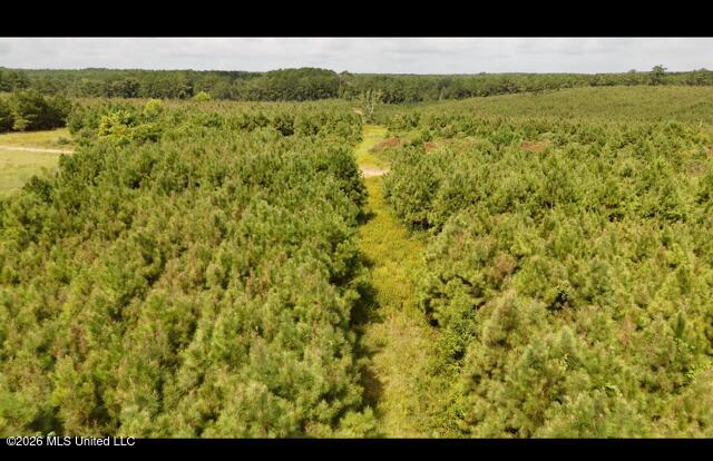 Ten Mile Creek Road Property Photo 14