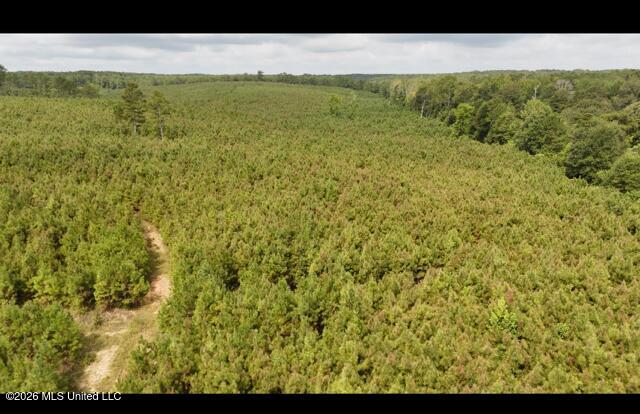 Ten Mile Creek Road Property Photo 15