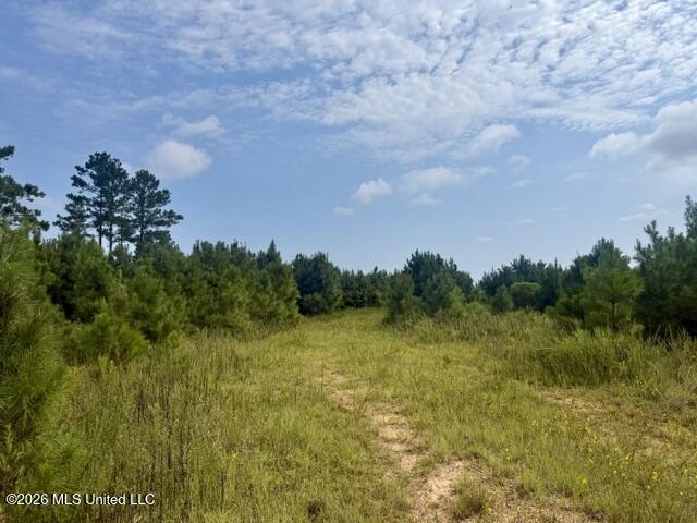 Ten Mile Creek Road Property Photo 16