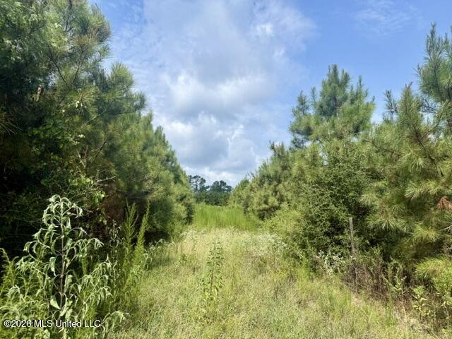Ten Mile Creek Road Property Photo 27