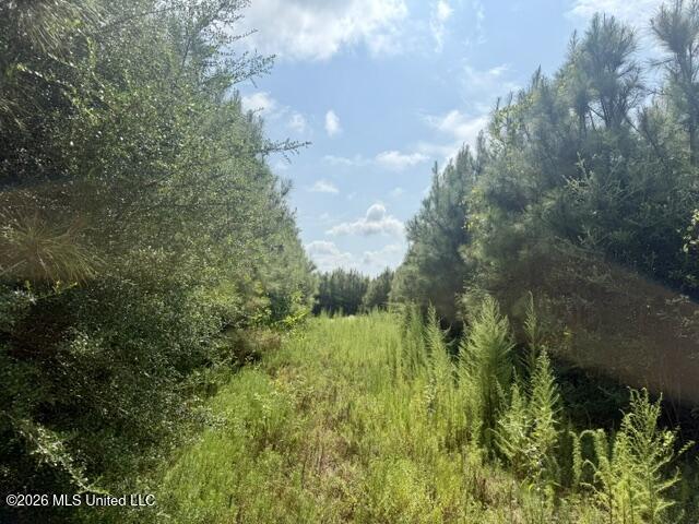 Ten Mile Creek Road Property Photo 28