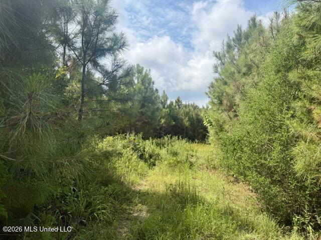 Ten Mile Creek Road Property Photo 29