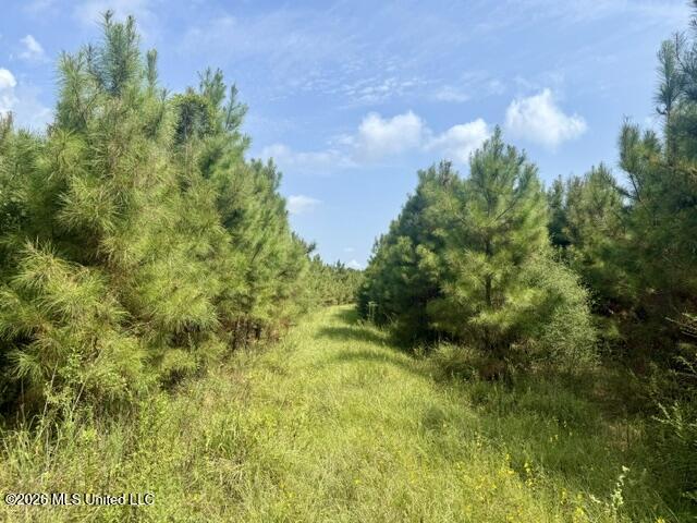 Ten Mile Creek Road Property Photo 30