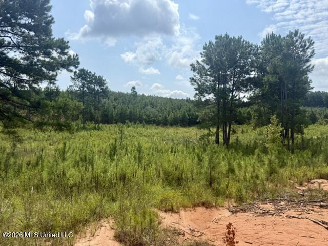 Ten Mile Creek Road Property Photo 31