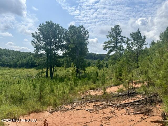 Ten Mile Creek Road Property Photo 32