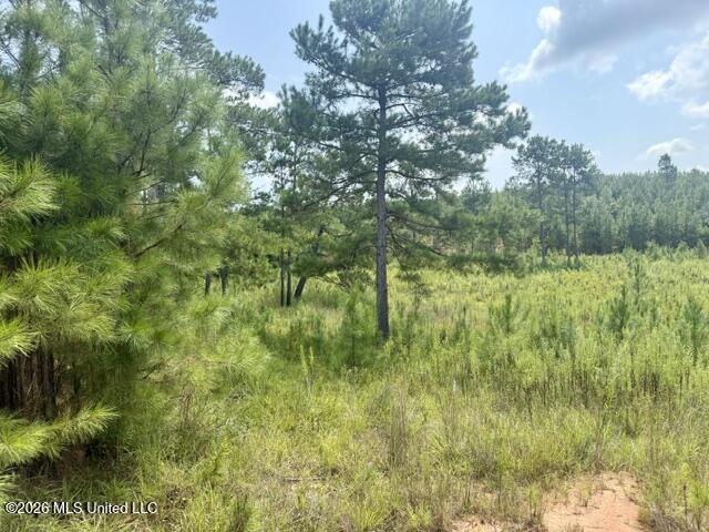 Ten Mile Creek Road Property Photo 33