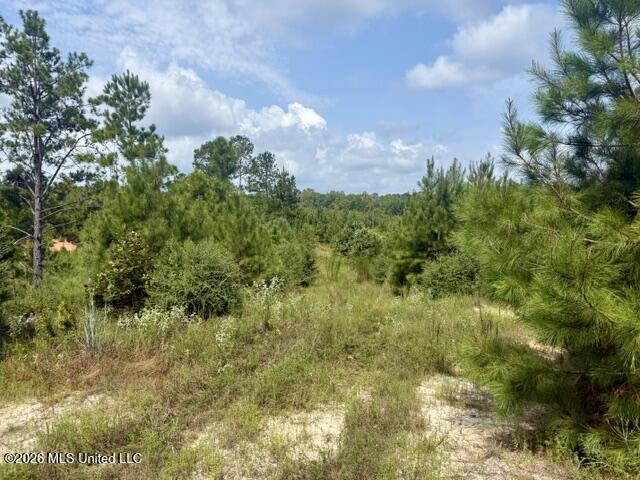 Ten Mile Creek Road Property Photo 34