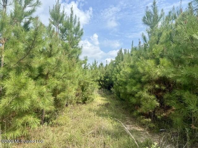 Ten Mile Creek Road Property Photo 35
