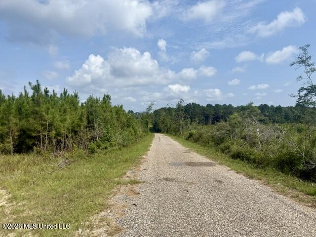 Ten Mile Creek Road Property Photo 37