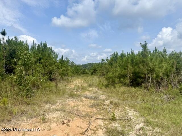 Ten Mile Creek Road Property Photo 38