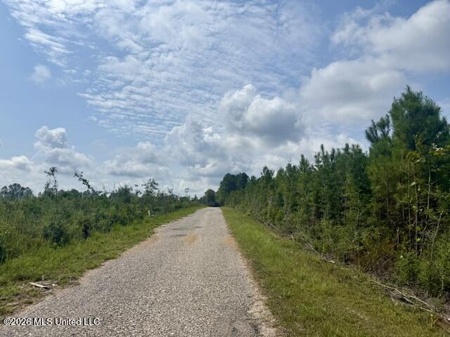 Ten Mile Creek Road Property Photo 39