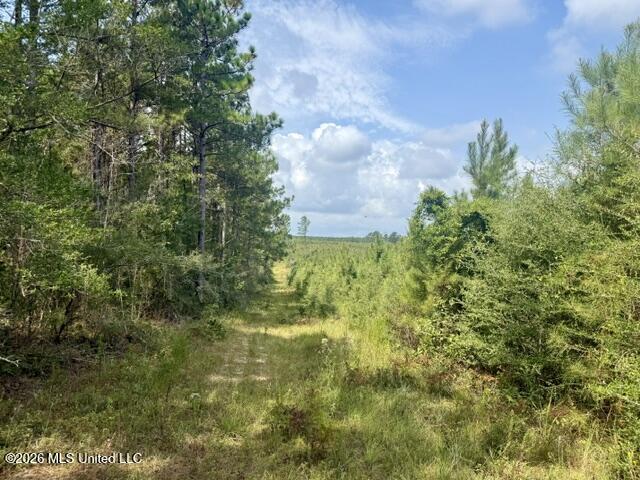 Ten Mile Creek Road Property Photo 40