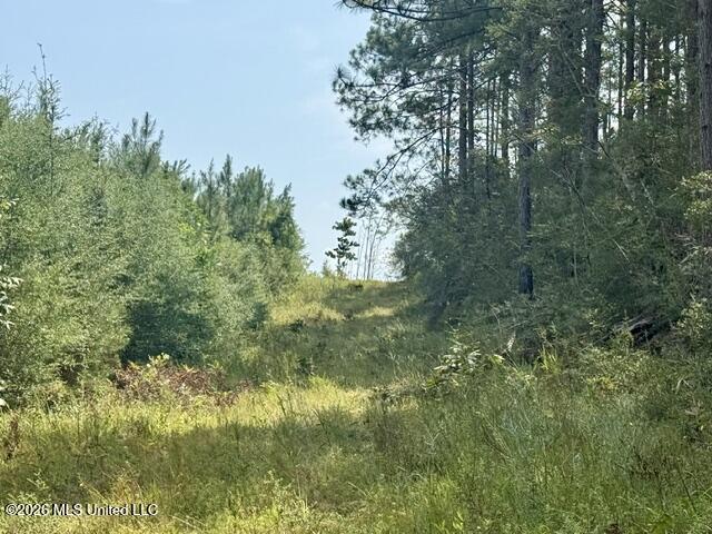 Ten Mile Creek Road Property Photo 41