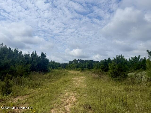 Ten Mile Creek Road Property Photo 42