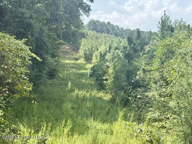 Ten Mile Creek Road Property Photo 43